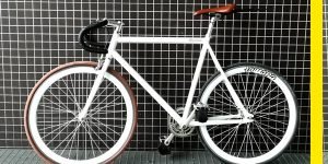 Bicicleta Fixie