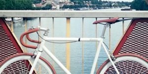 Bicicletas de Piñon fijo