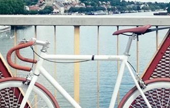 Bicicletas de Piñon fijo