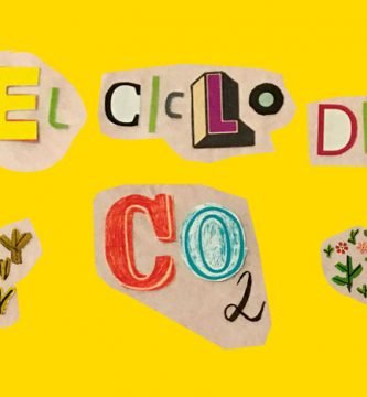 Como disminuir emisiones de co2