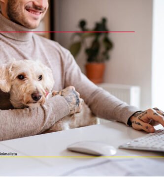 como-funcionan-los-negocios-digitales-pequeños