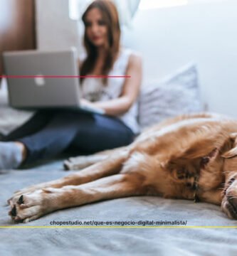 que-es-un-negocio-digital-pequeno